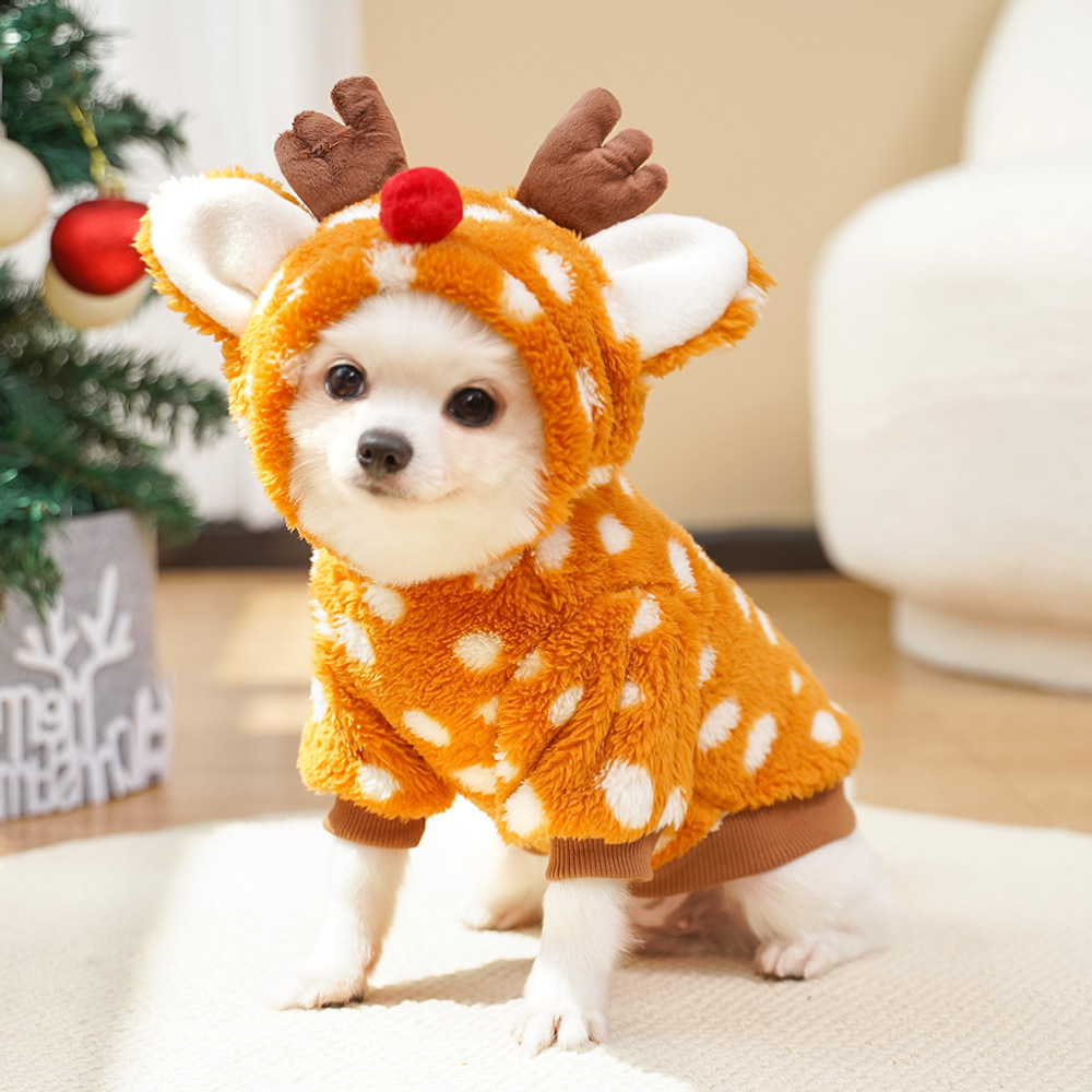 Cute Christmas Reindeer Pet Cl - Winter Clothing Must Haves ulasan dan harga