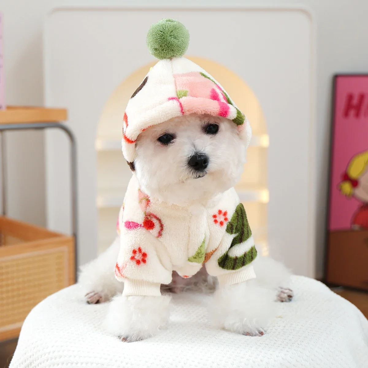 Puppy Clothes Are Thickened an - Winter Clothing Must Haves ulasan dan harga