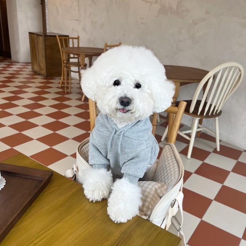 Letter Hoodie Pet Clothing Dog - Winter Clothing For Boys ulasan dan harga