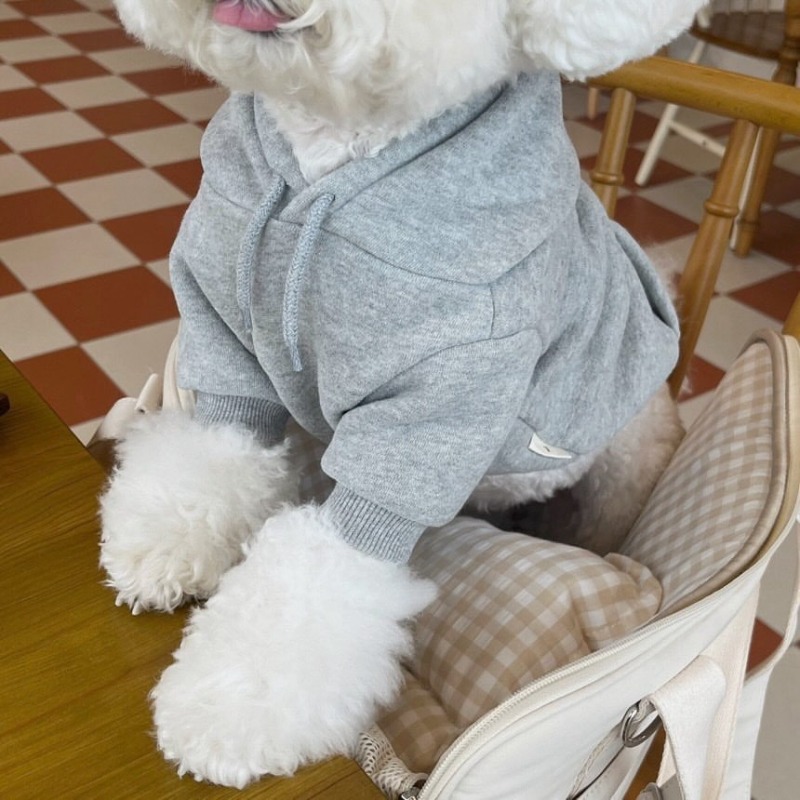 Letter Hoodie Pet Clothing Dog - Winter Clothing For Boys ulasan dan harga