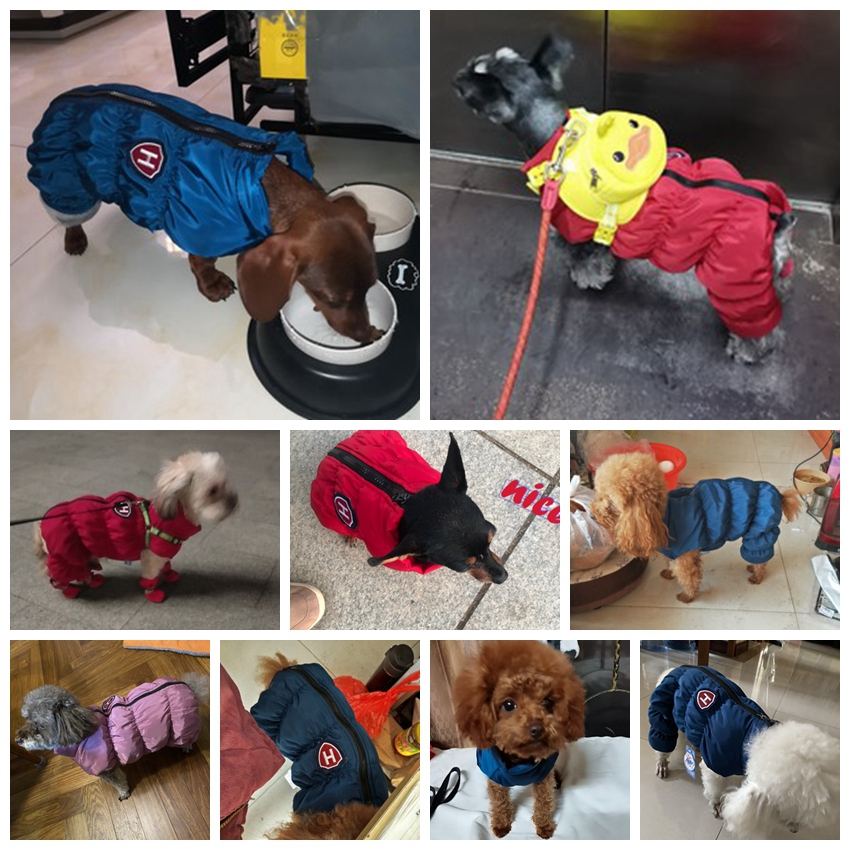 Zipper Snow Unisex Dog Waterpr - Winter Clothing For Babies ulasan dan harga